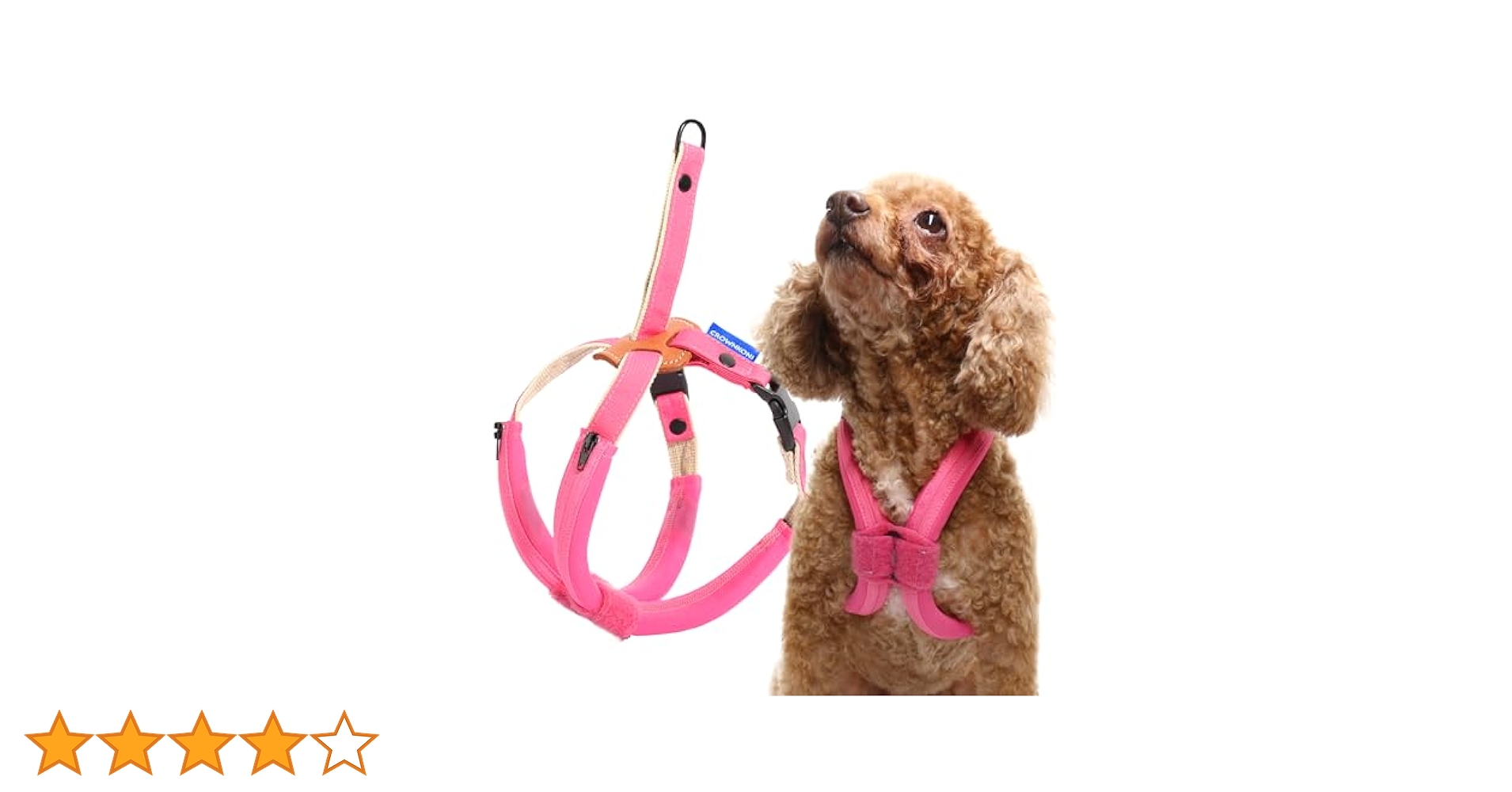 バカラ 干支 イヌ ほぼ未使用 ペットパラダイス 干支帽子 辰 《グリーン》 小型犬 / PET